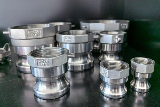 Anpassungsgröße Präzisionsguss für industrielle Anwendungen Camlocks etc.